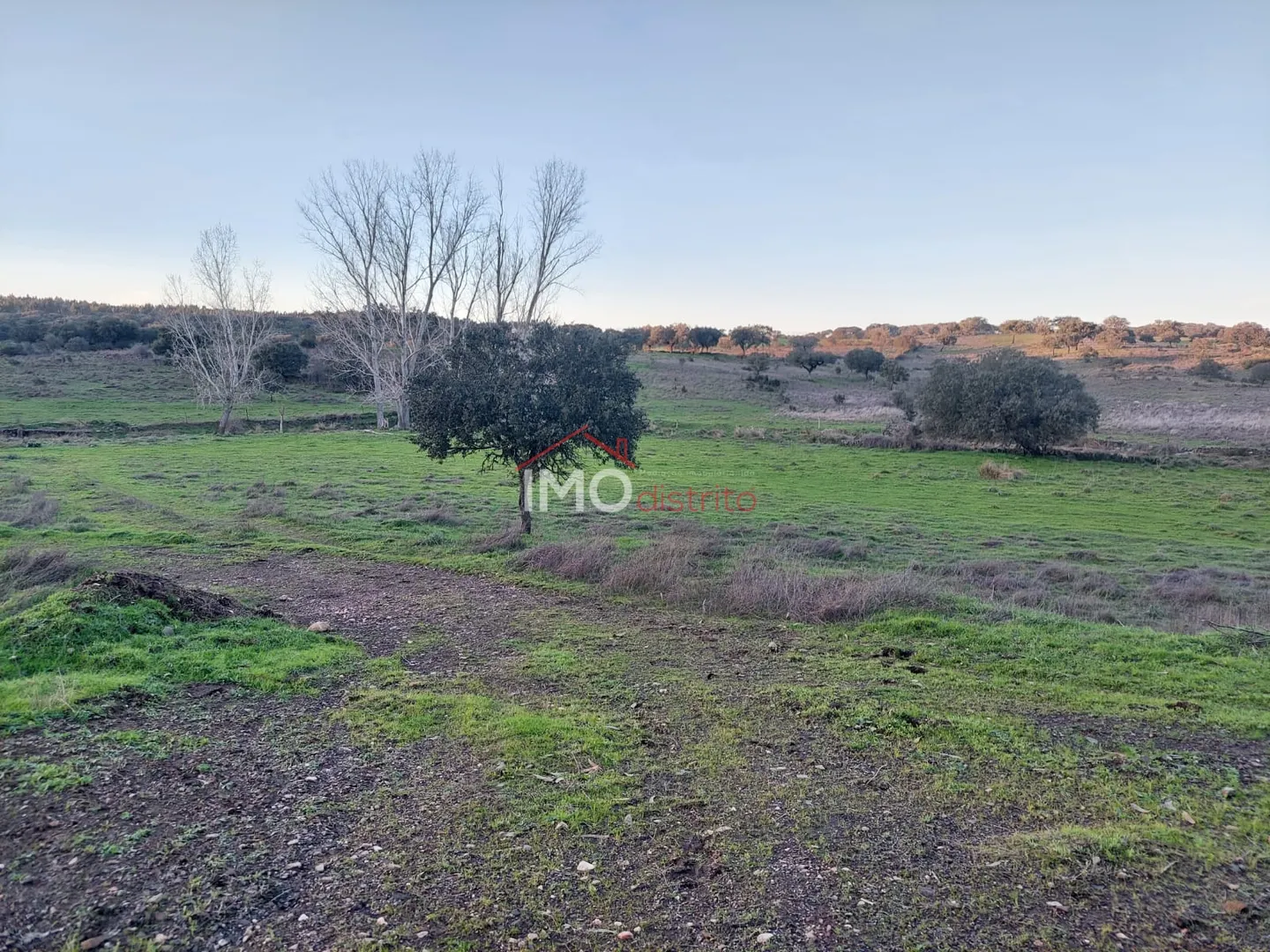 Terreno Rstico T0 - Esprito Santo, Nisa, Portalegre - Miniatura: 9/9