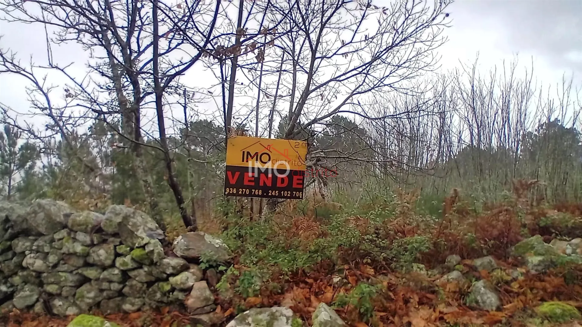 Terreno R�stico T0 - Santa Maria de Marv�o, Marv�o, Portalegre - Imagem grande