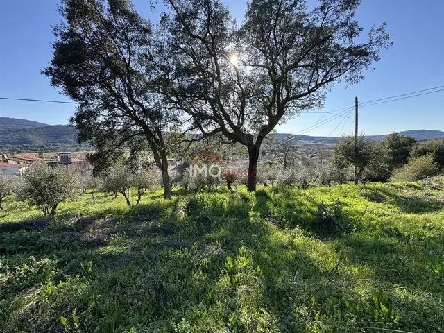 Terreno Urbano - S�o Salvador da Aramenha, Marv�o, Portalegre - Imagem grande