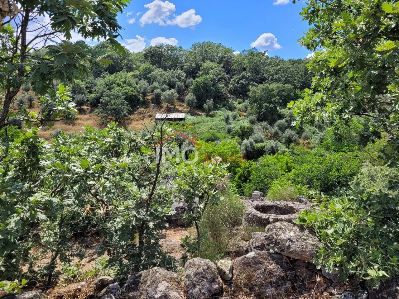 Quinta T3 - Santa Maria da Devesa, Castelo de Vide, Portalegre