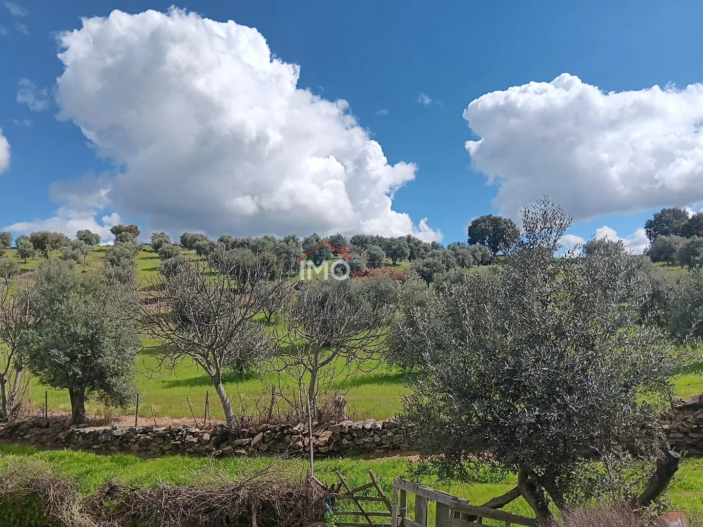 Terreno Rstico T0 - Beir, Marvo, Portalegre