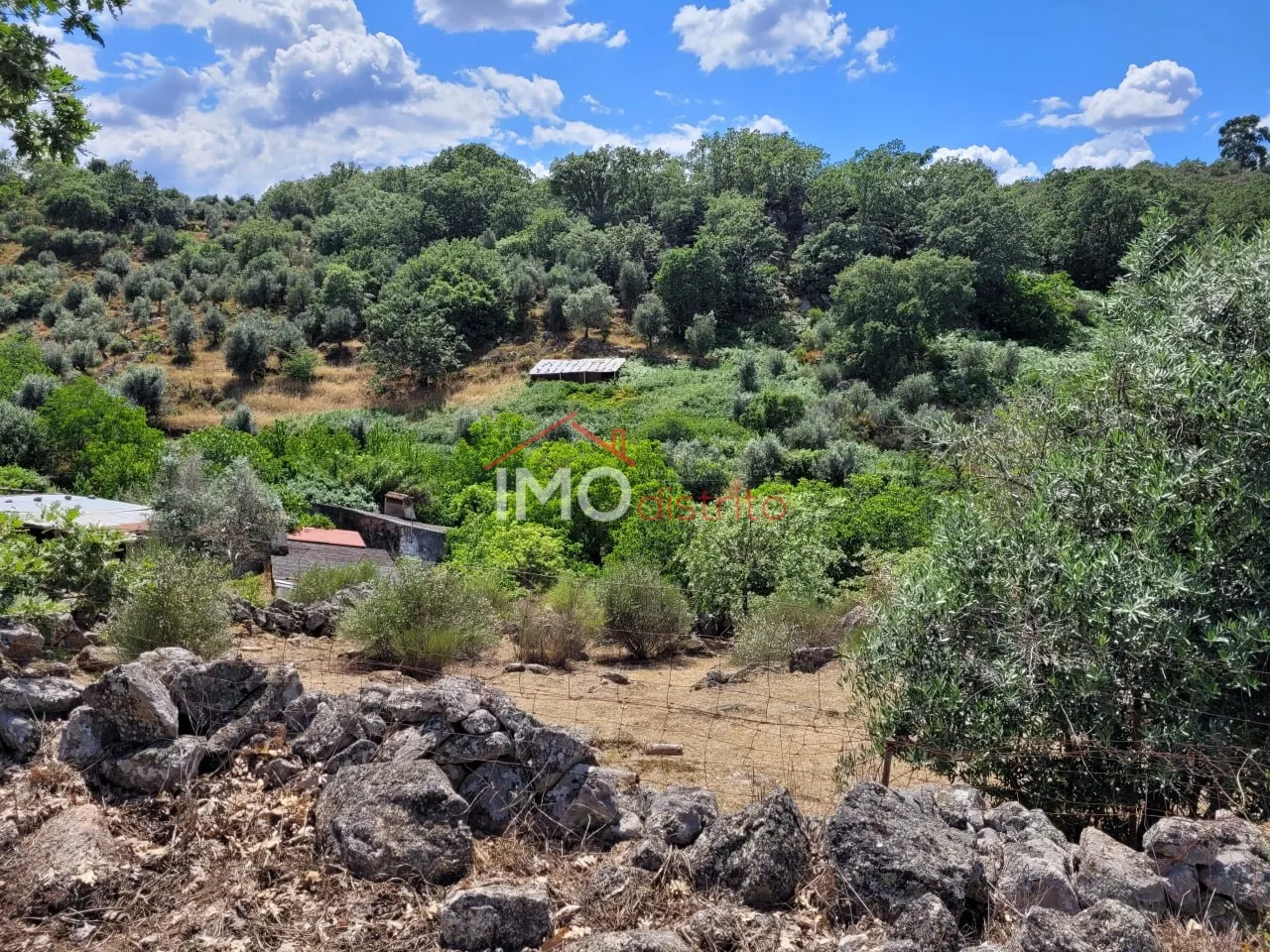 Quinta T3 - Santa Maria da Devesa, Castelo de Vide, Portalegre - Miniatura: 3/9