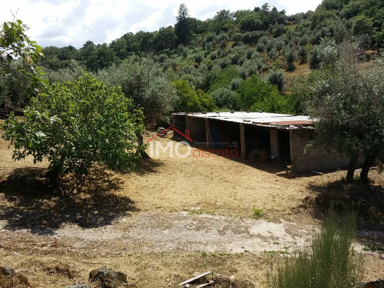 Quinta T3 - Santa Maria da Devesa, Castelo de Vide, Portalegre - Miniatura: 5/9