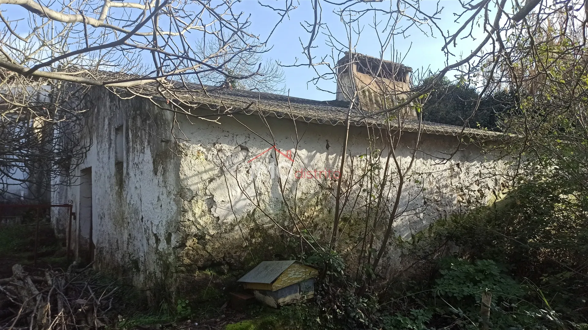 Quinta T3 - Santa Maria da Devesa, Castelo de Vide, Portalegre - Miniatura: 9/9