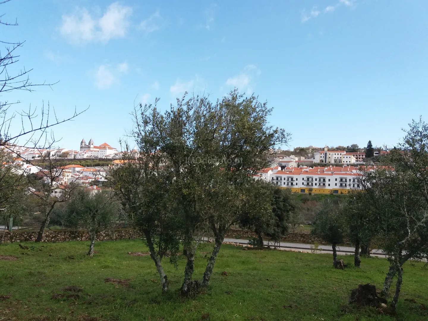 Terreno Rstico T0 - So Joo Batista, Castelo de Vide, Portalegre - Miniatura: 4/9