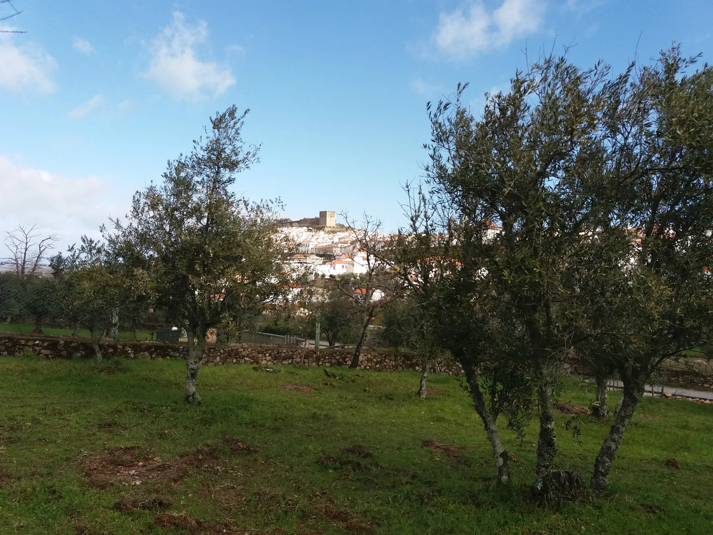 Terreno Rstico T0 - So Joo Batista, Castelo de Vide, Portalegre - Miniatura: 5/9