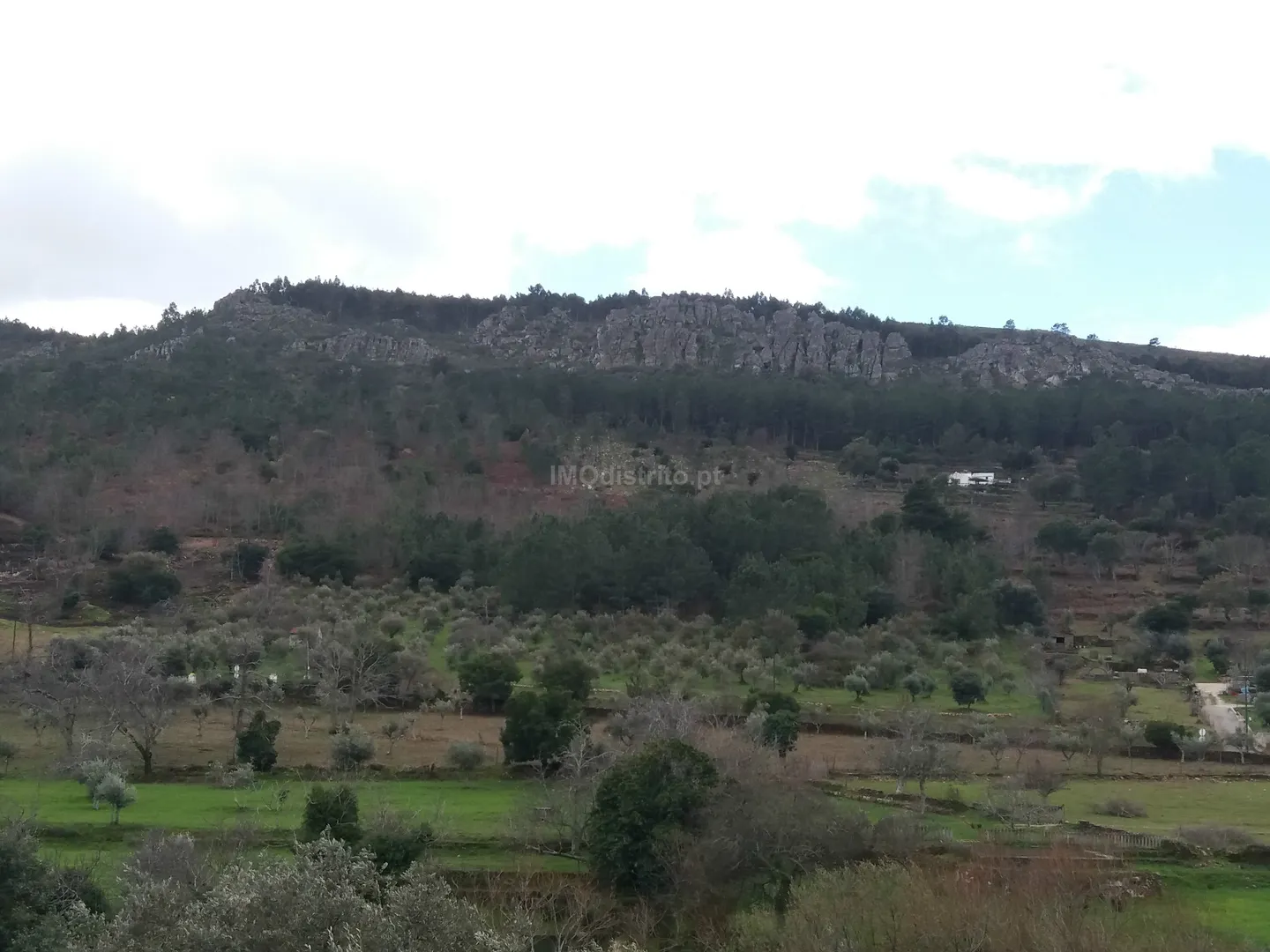 Terreno Rstico T0 - So Joo Batista, Castelo de Vide, Portalegre - Miniatura: 6/9
