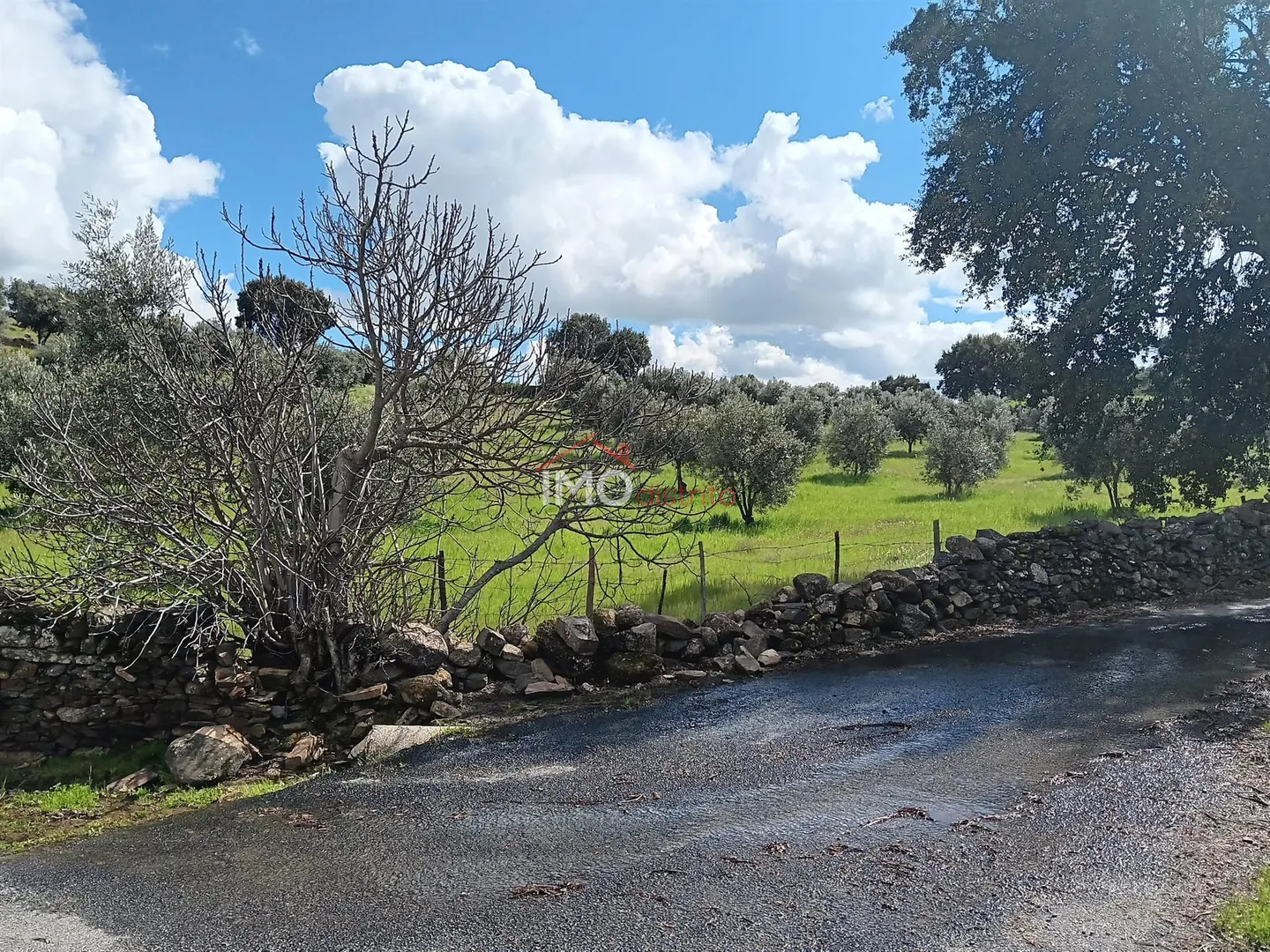 Terreno Rstico T0 - Beir, Marvo, Portalegre - Miniatura: 1/9