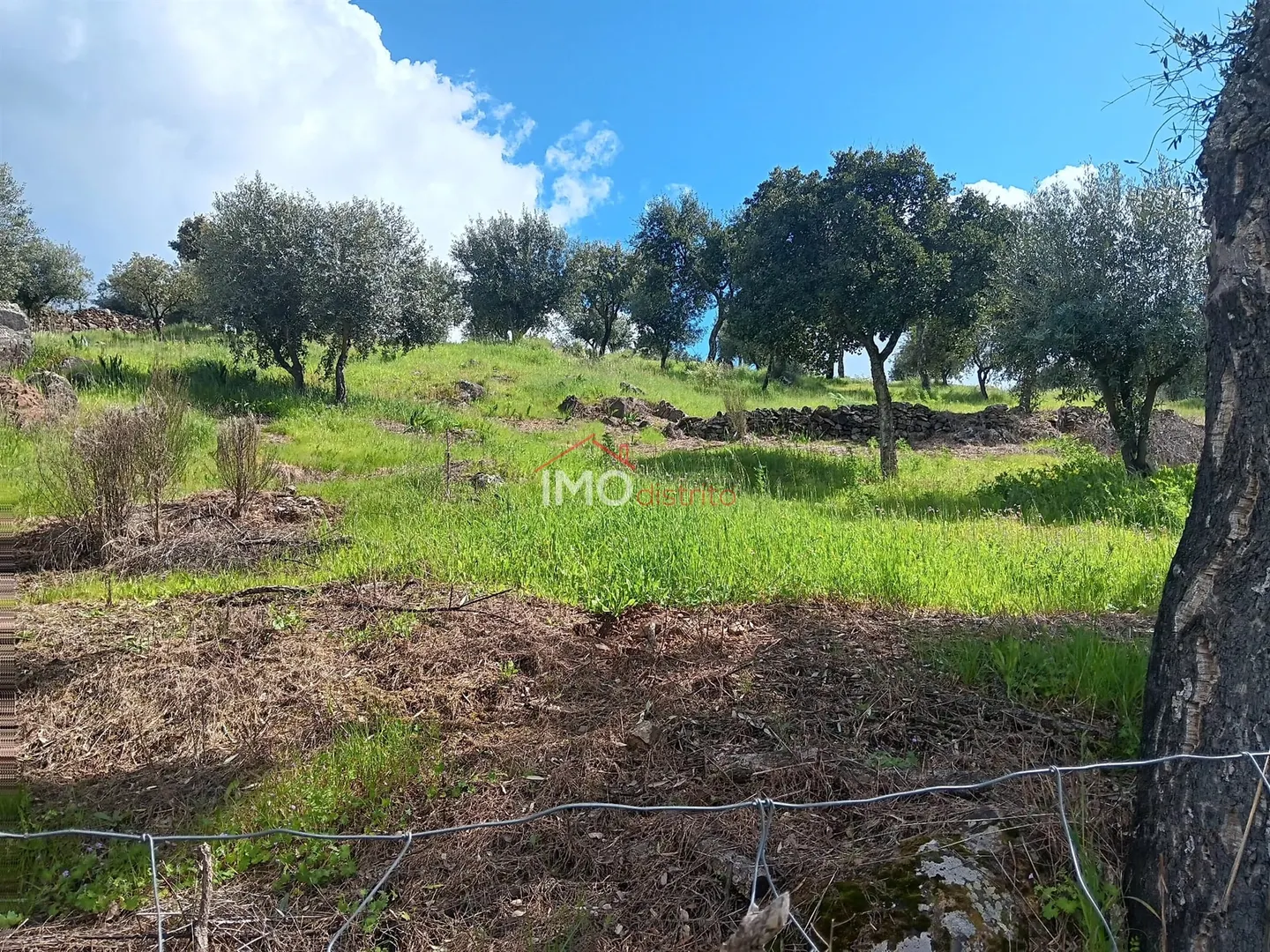Terreno Rstico T0 - Beir, Marvo, Portalegre - Miniatura: 4/9