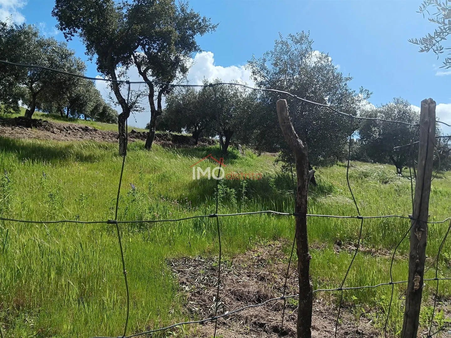 Terreno Rstico T0 - Beir, Marvo, Portalegre - Miniatura: 5/9