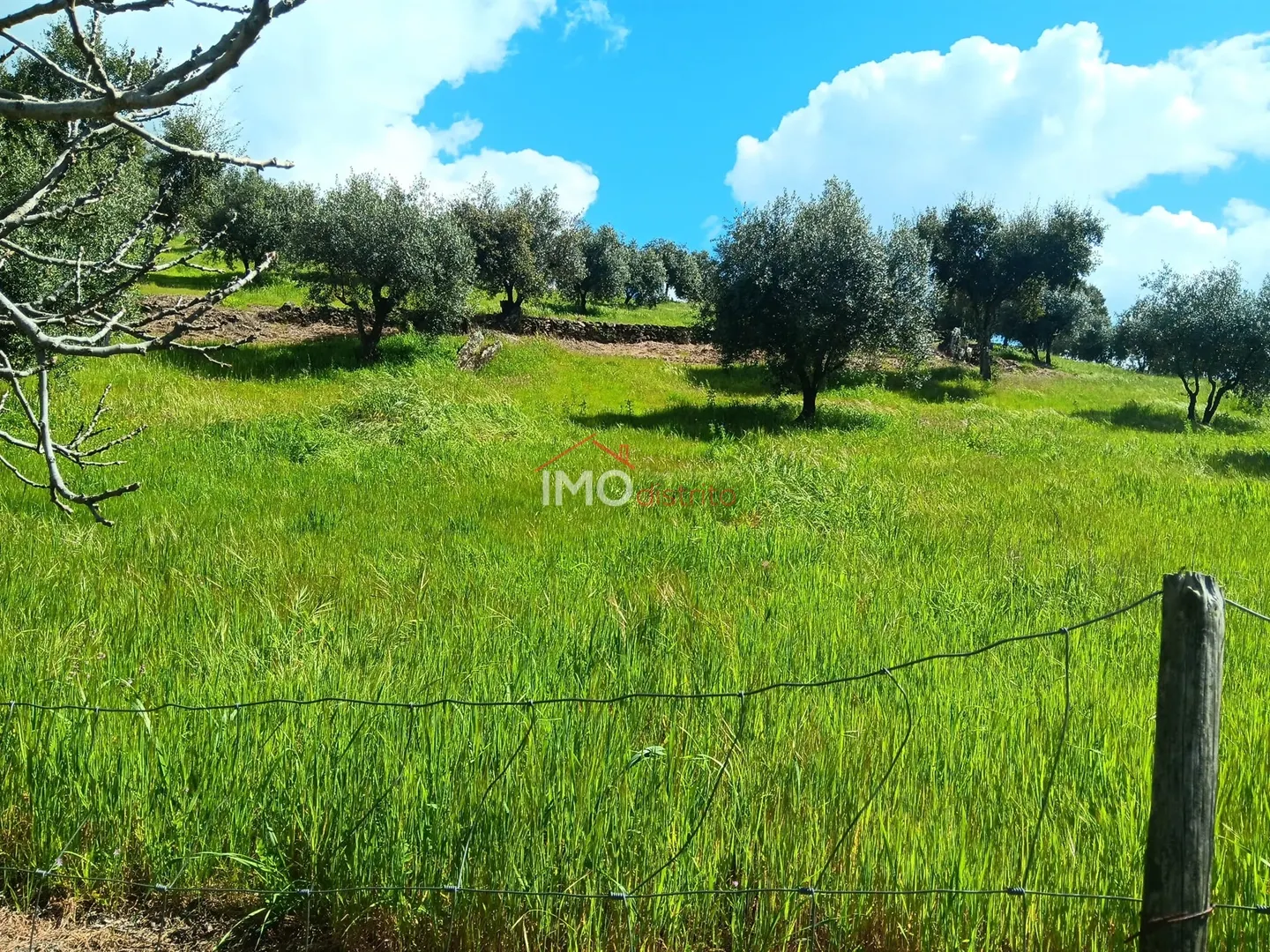 Terreno Rstico T0 - Beir, Marvo, Portalegre - Miniatura: 7/9