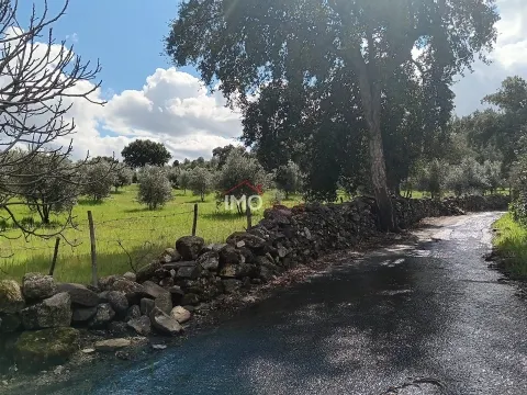 Terreno Rstico T0 - So Salvador da Aramenha, Marvo, Portalegre - Miniatura: 8/9