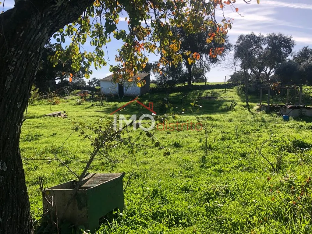 Terreno Rstico T0 - Santiago Maior, Castelo de Vide, Portalegre