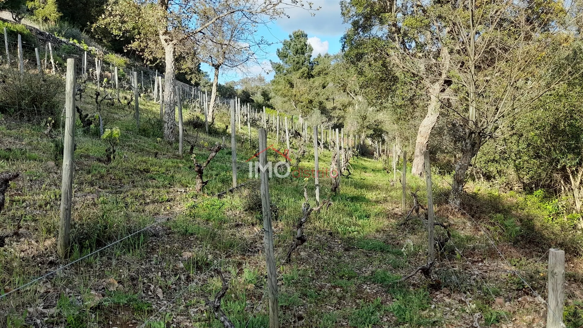 Terreno Rstico T0 - So Salvador da Aramenha, Marvo, Portalegre