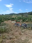 Quinta T2 - Ribeira de Nisa, Portalegre, Portalegre