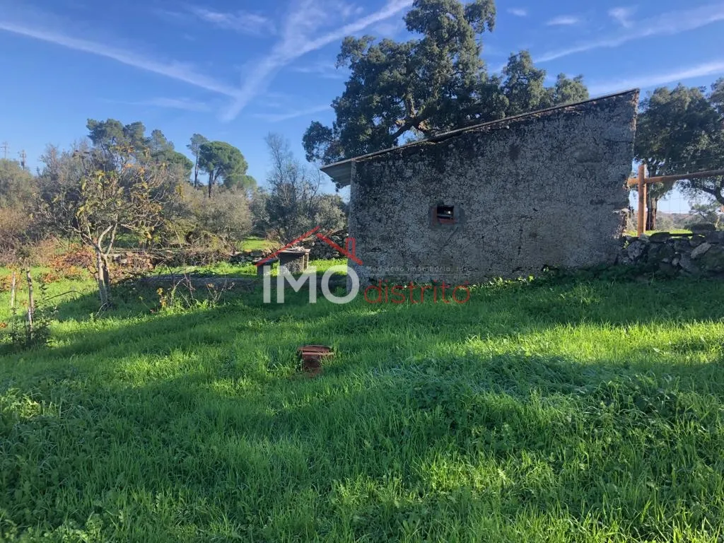 Terreno Rstico T0 - Santiago Maior, Castelo de Vide, Portalegre - Miniatura: 4/9