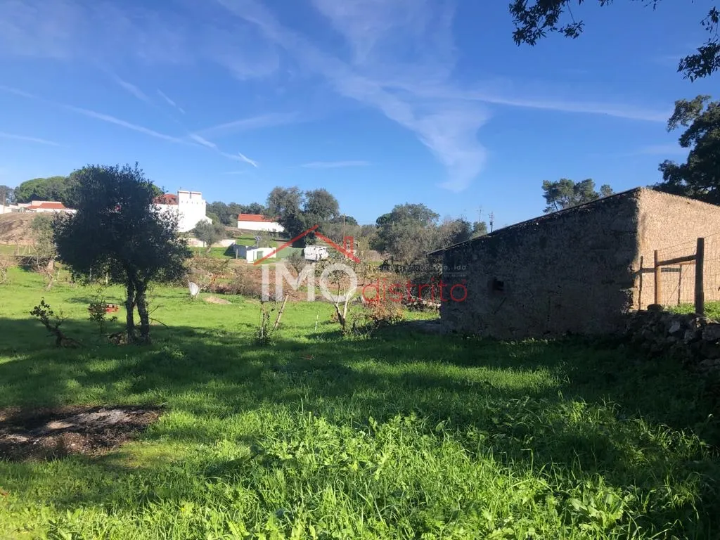 Terreno Rstico T0 - Santiago Maior, Castelo de Vide, Portalegre - Miniatura: 6/9