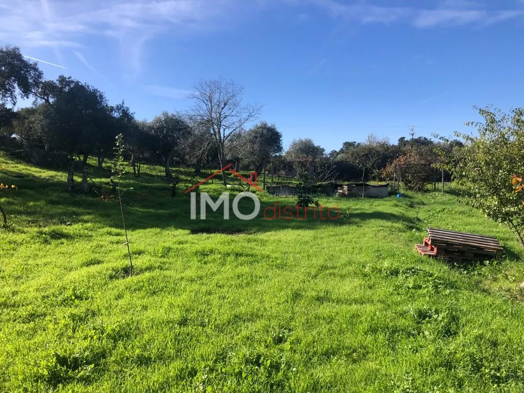 Terreno Rstico T0 - Santiago Maior, Castelo de Vide, Portalegre - Miniatura: 7/9