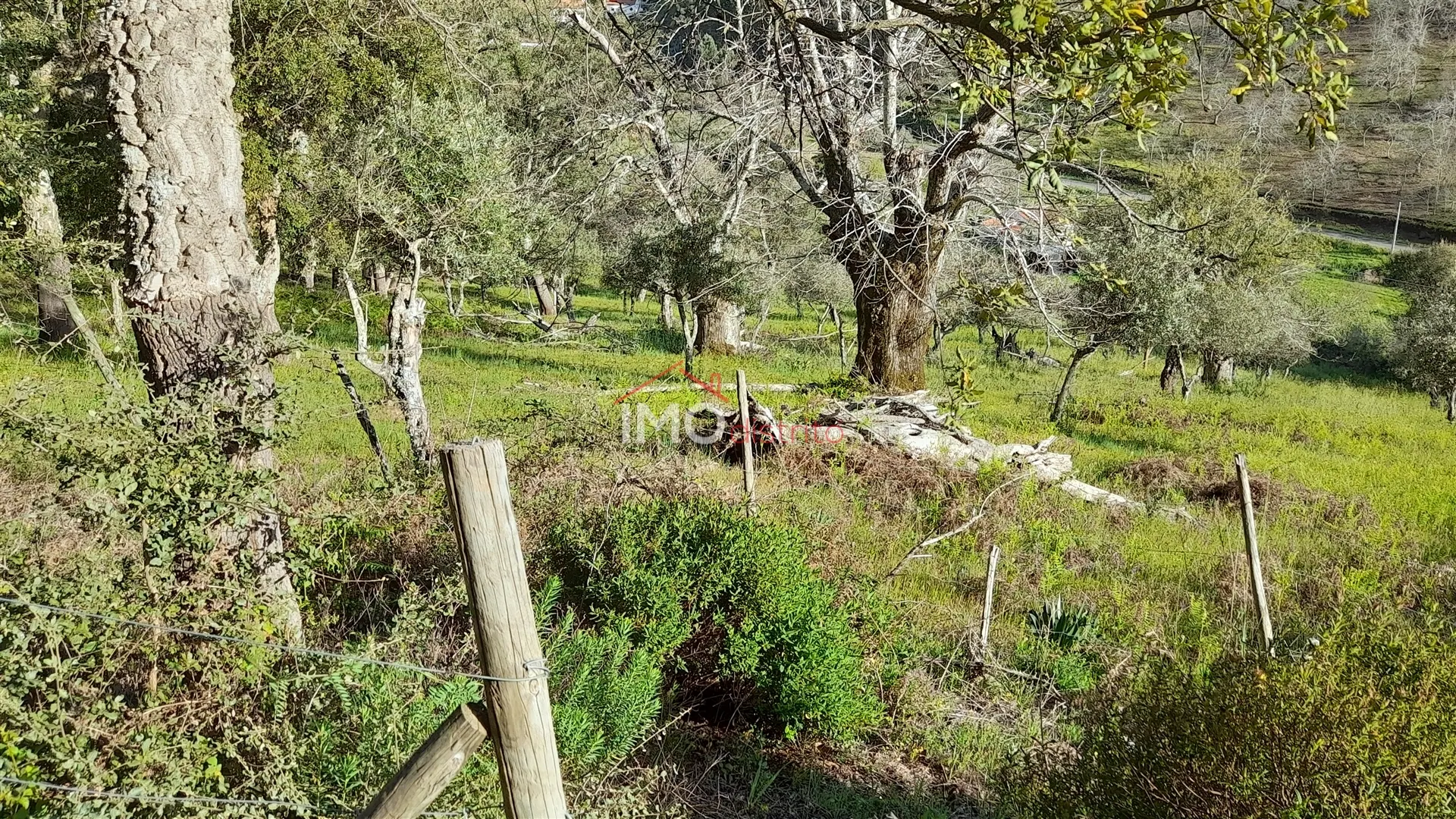Terreno Rstico T0 - So Salvador da Aramenha, Marvo, Portalegre - Miniatura: 6/9