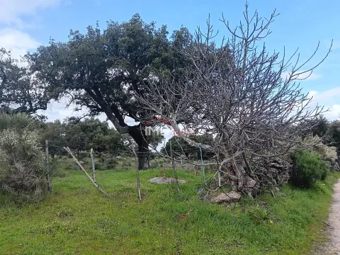 Terreno Rstico T0 - So Salvador da Aramenha, Marvo, Portalegre - Miniatura: 2/9