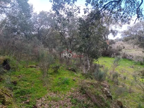 Terreno Rstico T0 - So Salvador da Aramenha, Marvo, Portalegre - Miniatura: 4/9