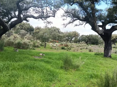Terreno Rstico T0 - So Salvador da Aramenha, Marvo, Portalegre - Miniatura: 5/9