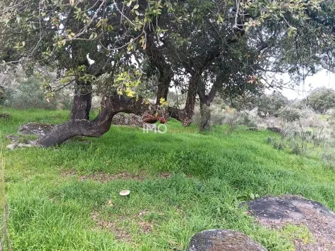 Terreno Rstico T0 - So Salvador da Aramenha, Marvo, Portalegre - Miniatura: 6/9