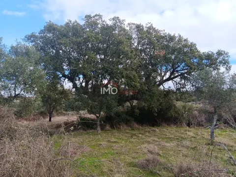 Terreno Rstico T0 - So Salvador da Aramenha, Marvo, Portalegre - Miniatura: 7/9