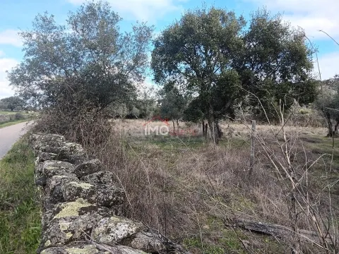 Terreno Rstico T0 - So Salvador da Aramenha, Marvo, Portalegre - Miniatura: 8/9