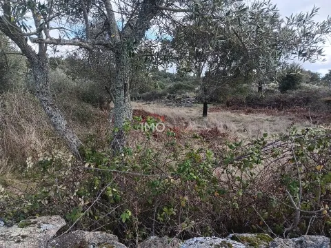 Terreno Rstico T0 - So Salvador da Aramenha, Marvo, Portalegre - Miniatura: 9/9