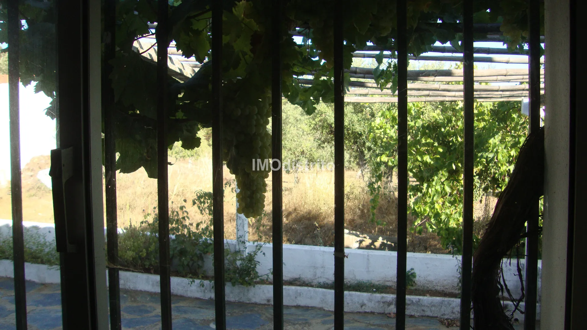 Quinta T2 - Alegrete, Portalegre, Portalegre - Miniatura: 9/9