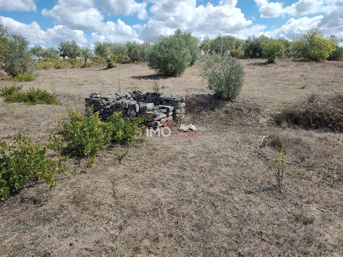 Terreno Rstico T0 - Esprito Santo, Nisa, Portalegre