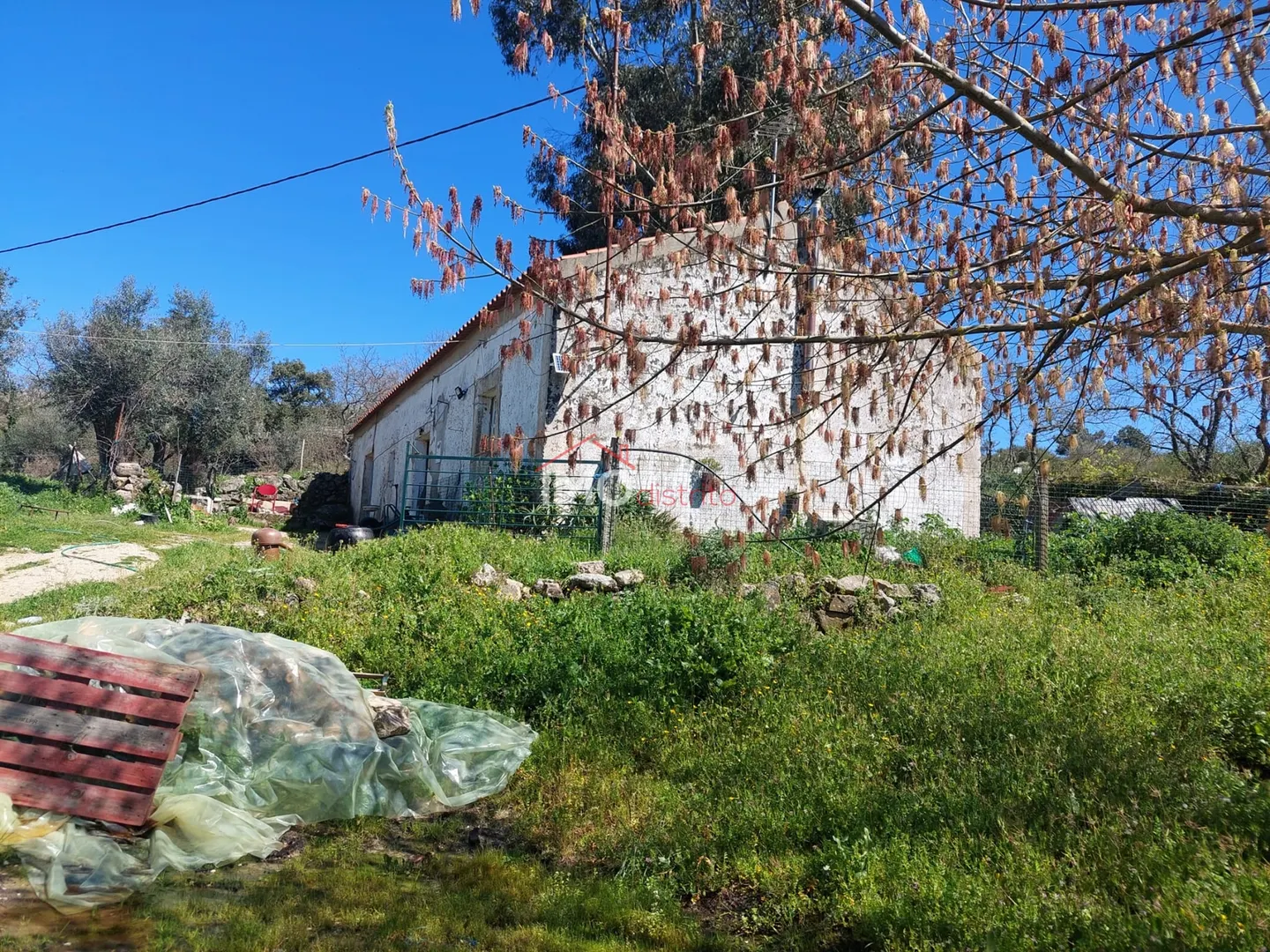 Quinta T3 - Santa Maria da Devesa, Castelo de Vide, Portalegre
