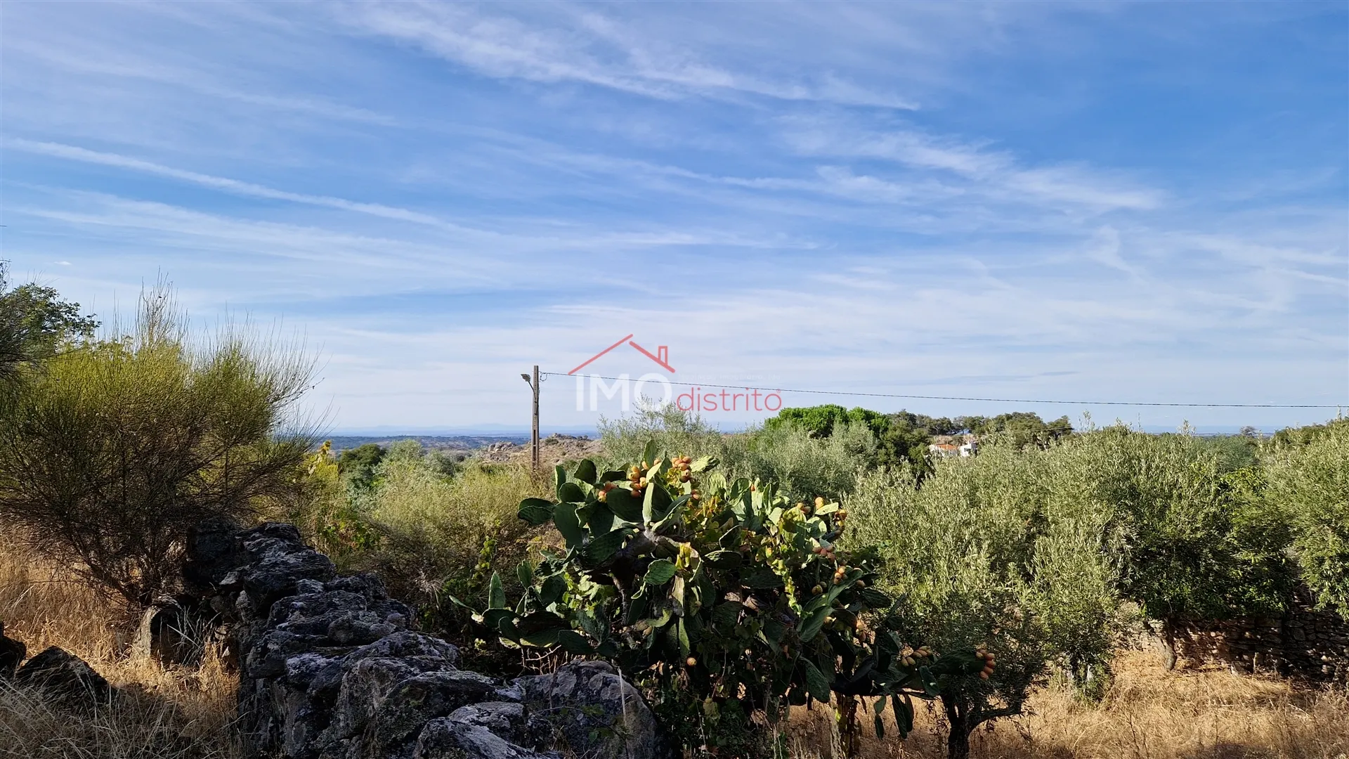 Quinta T2 - Santo Antnio das Areias, Marvo, Portalegre - Miniatura: 8/9