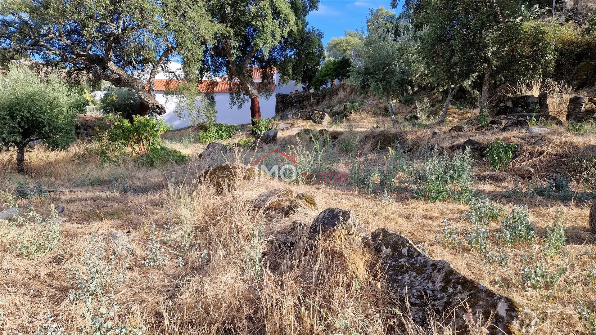 Quinta T2 - Santo Antnio das Areias, Marvo, Portalegre - Miniatura: 9/9