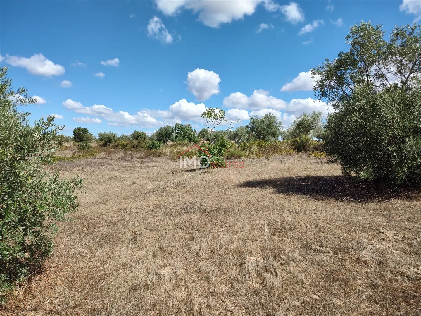 Terreno Rstico T0 - Esprito Santo, Nisa, Portalegre - Miniatura: 1/9