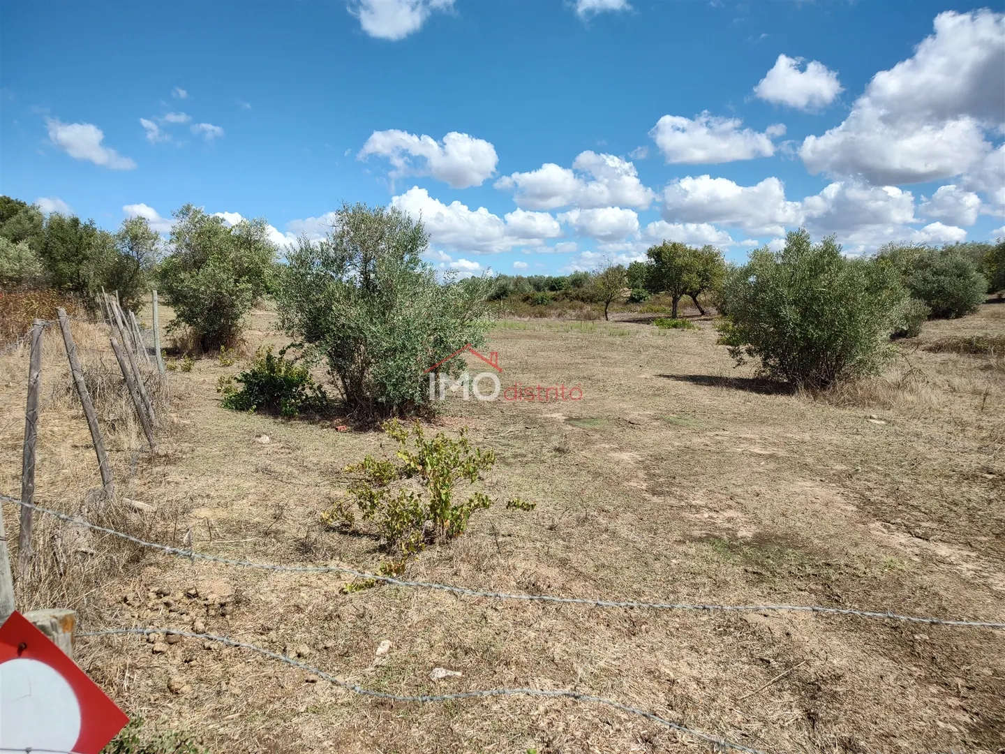 Terreno Rstico T0 - Esprito Santo, Nisa, Portalegre - Miniatura: 4/9