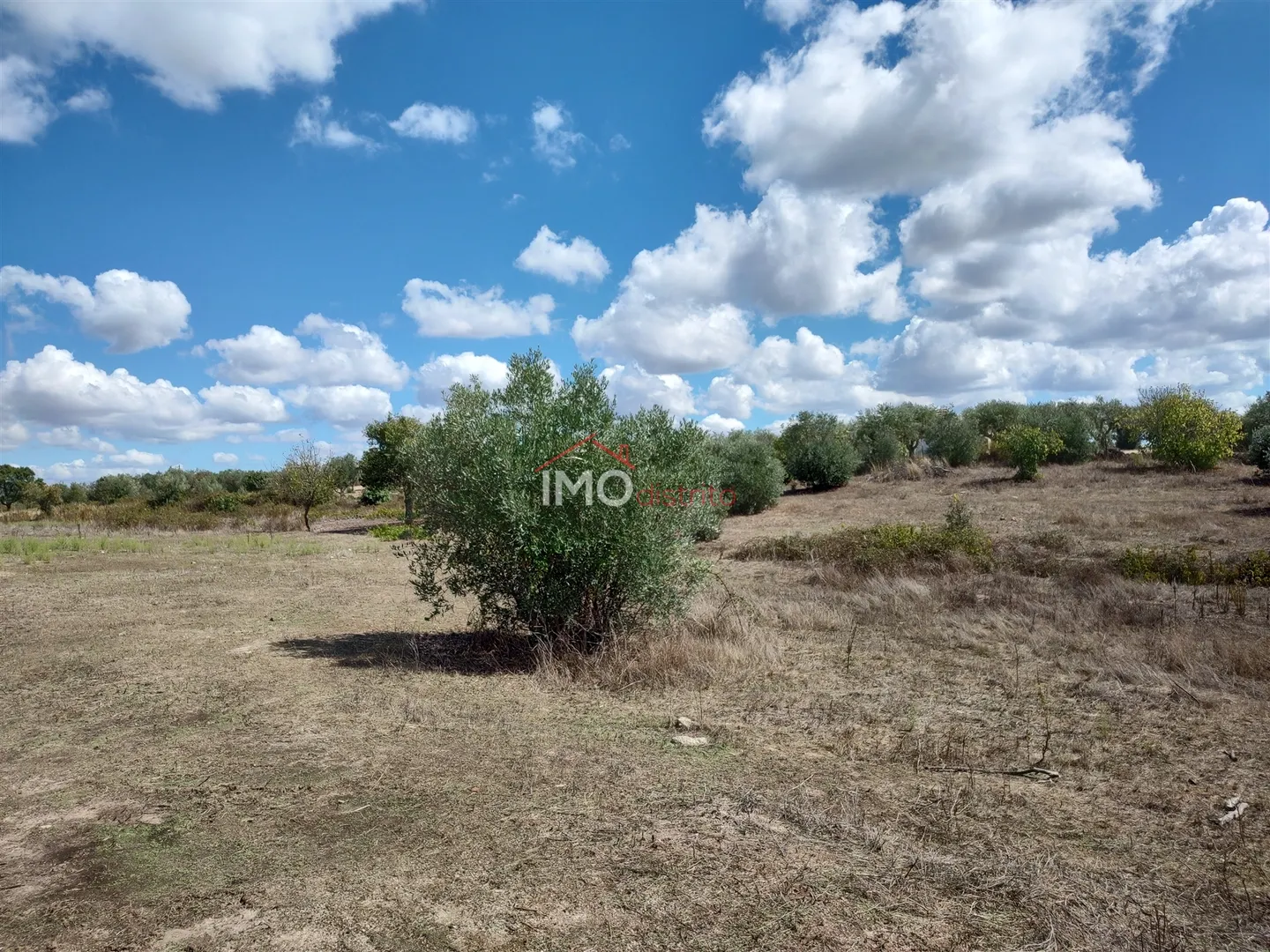 Terreno Rstico T0 - Esprito Santo, Nisa, Portalegre - Miniatura: 8/9