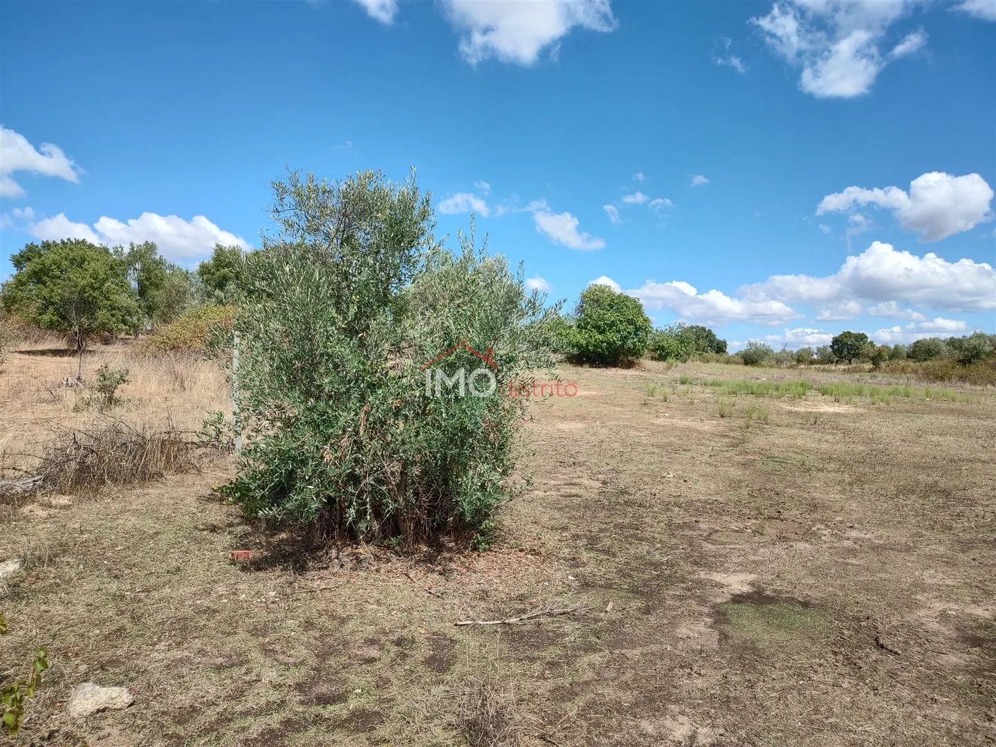 Terreno Rstico T0 - Esprito Santo, Nisa, Portalegre - Miniatura: 9/9
