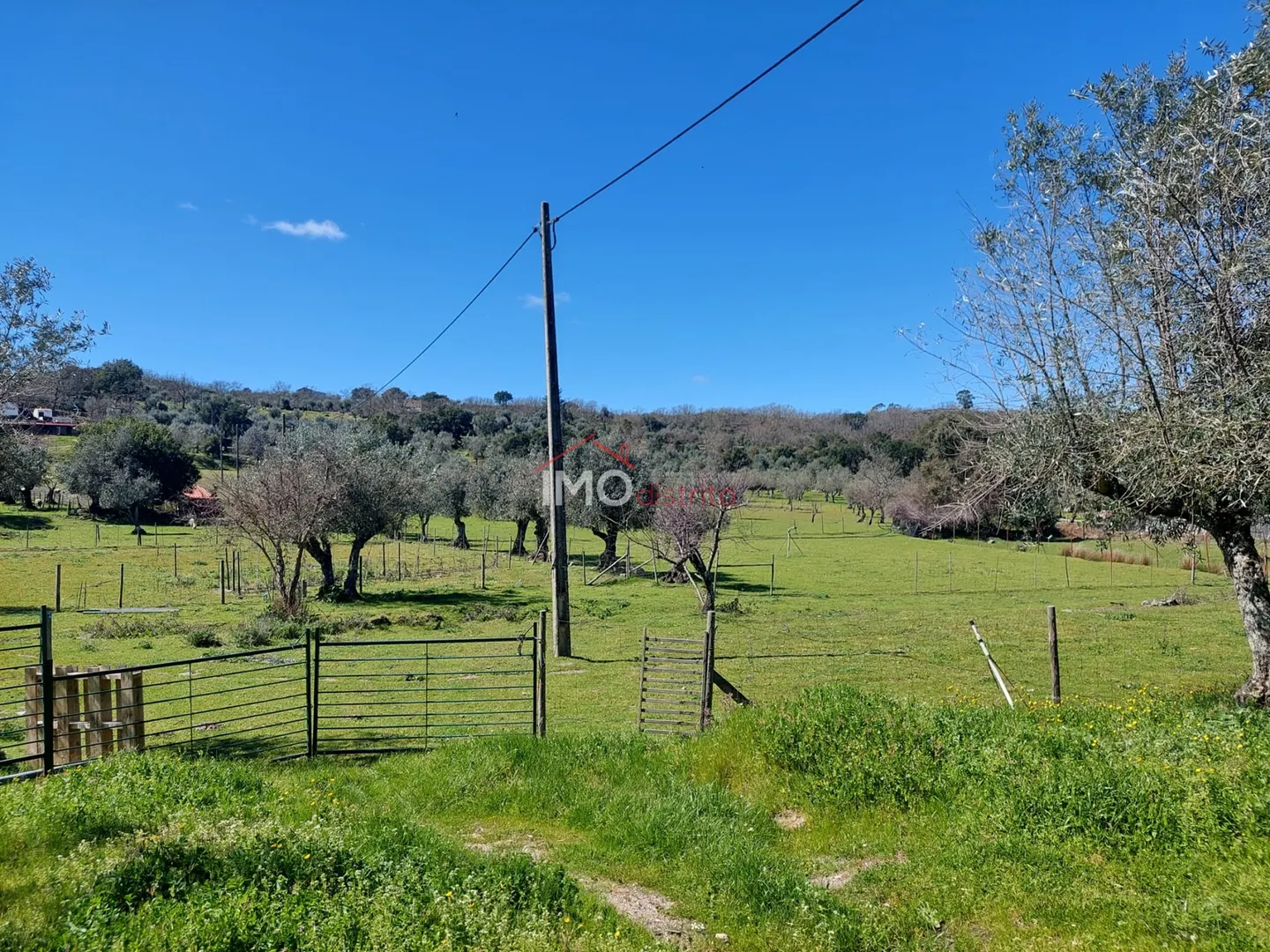 Quinta T3 - Santa Maria da Devesa, Castelo de Vide, Portalegre - Miniatura: 4/9