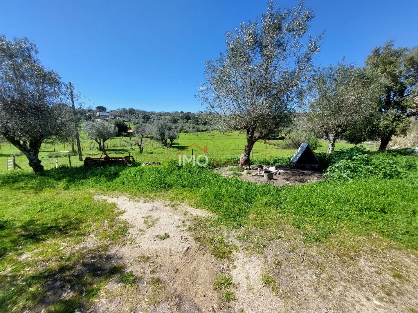 Quinta T3 - Santa Maria da Devesa, Castelo de Vide, Portalegre - Miniatura: 7/9