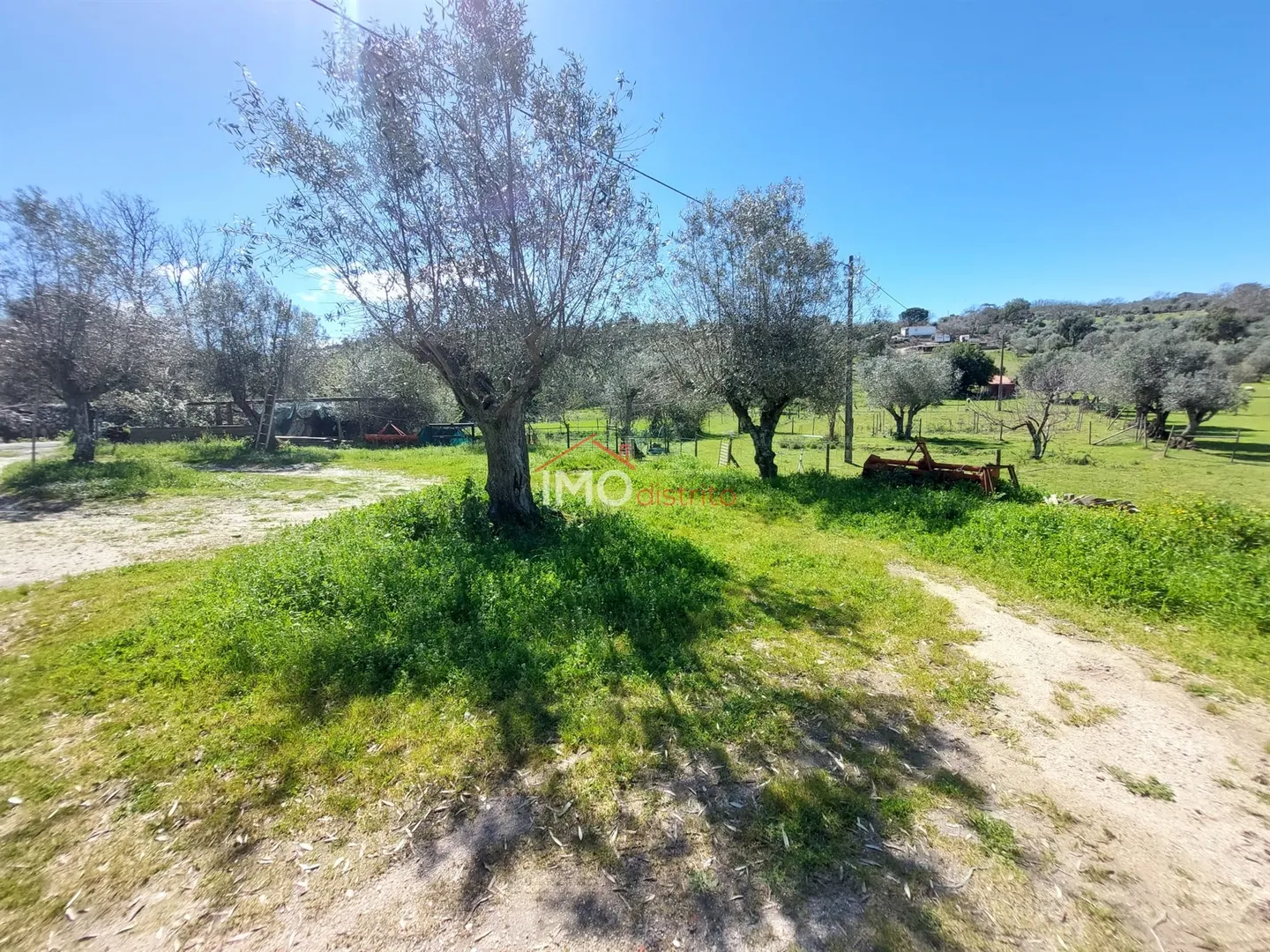 Quinta T3 - Santa Maria da Devesa, Castelo de Vide, Portalegre - Miniatura: 8/9