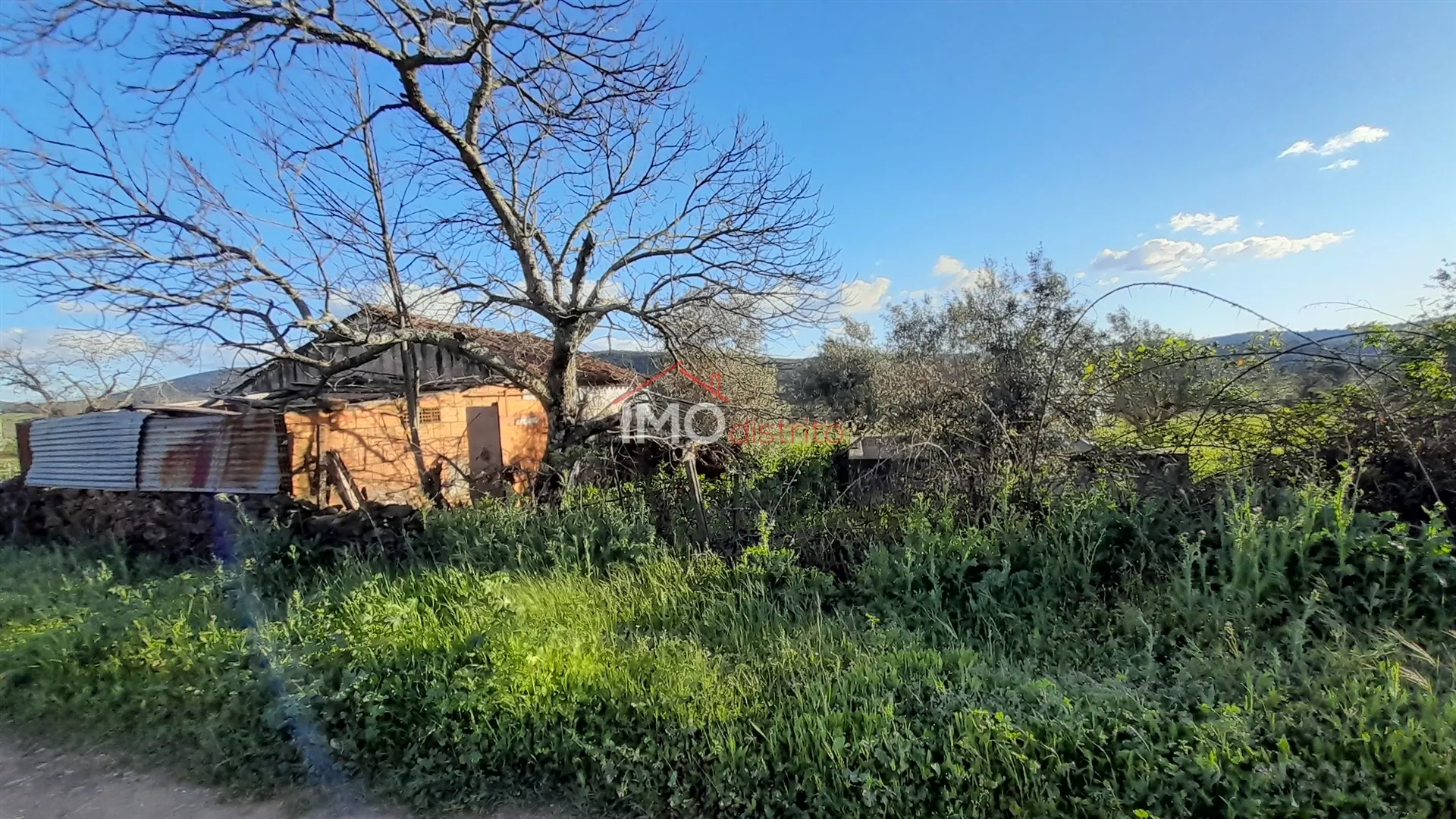 Terreno Rstico T0 - So Salvador da Aramenha, Marvo, Portalegre