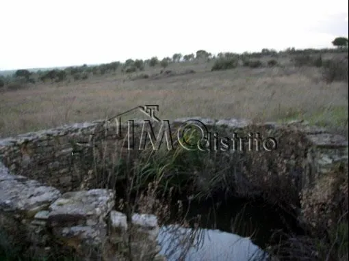 Terreno Rstico T0 - Esprito Santo, Nisa, Portalegre