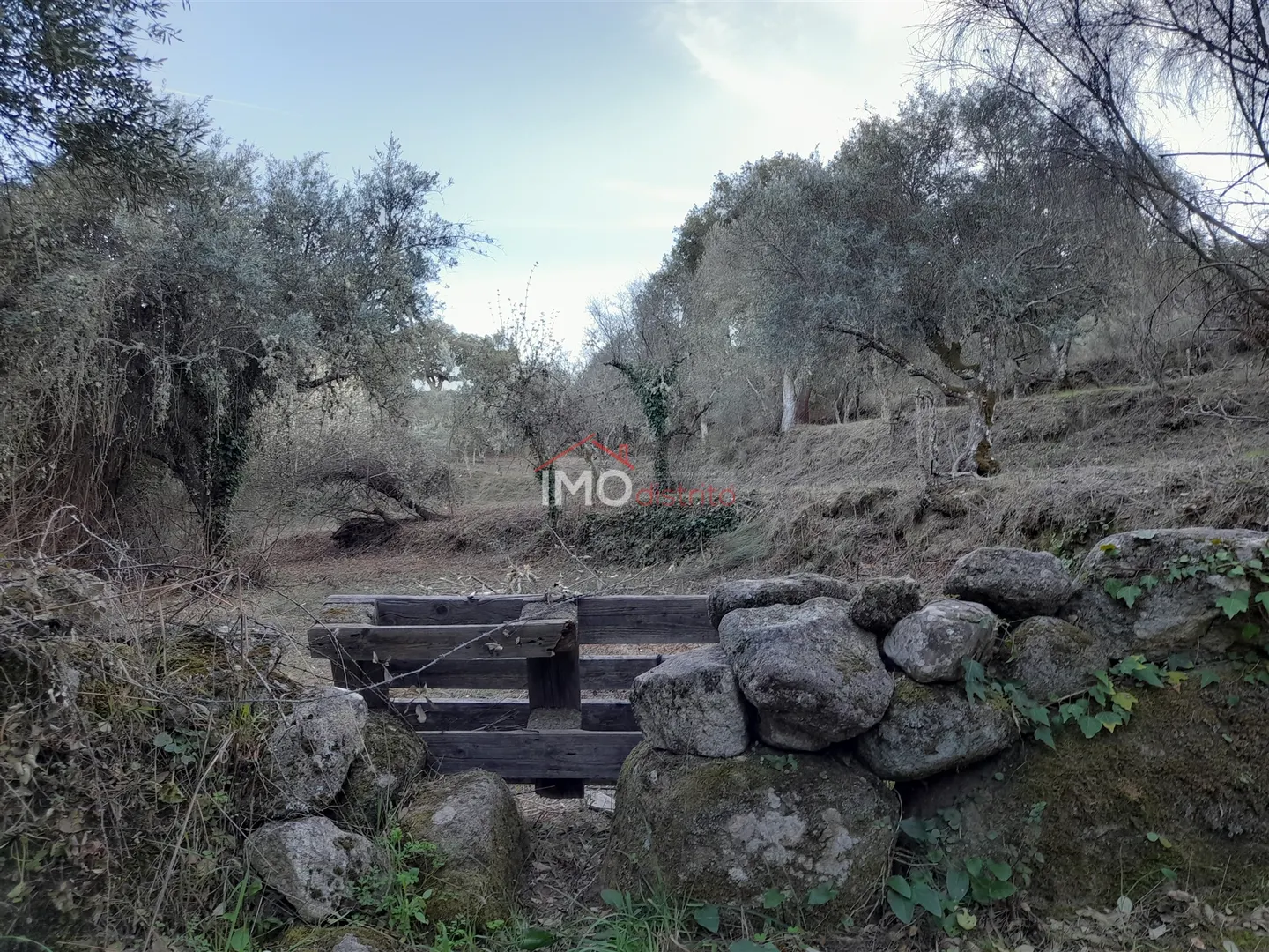 Terreno Rstico T0 - Santa Maria de Marvo, Marvo, Portalegre - Miniatura: 6/9