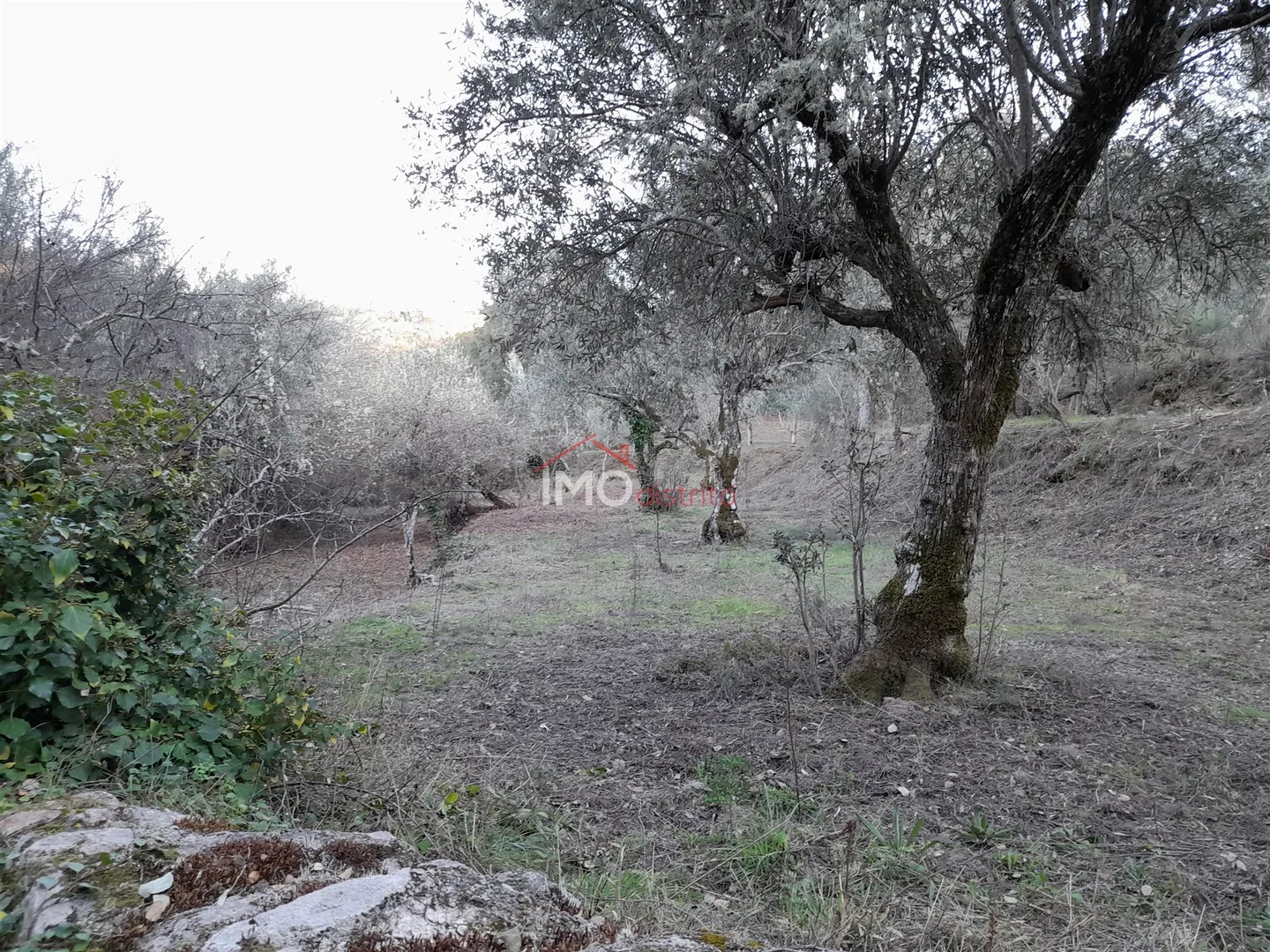 Terreno Rstico T0 - Santa Maria de Marvo, Marvo, Portalegre - Miniatura: 7/9
