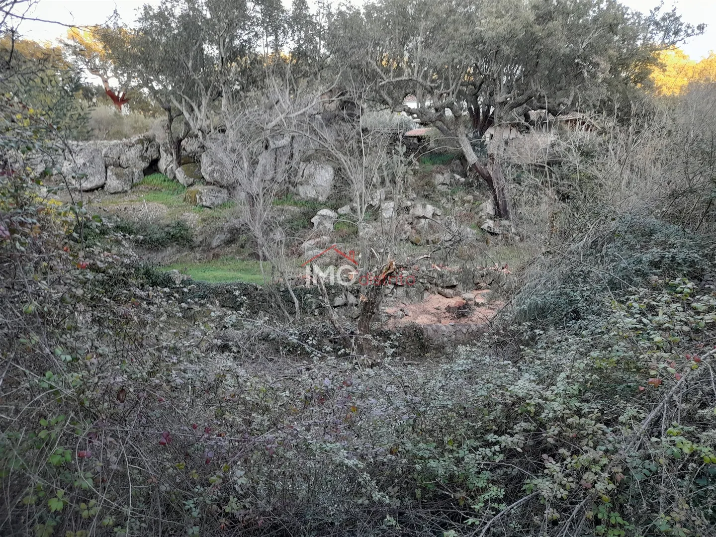 Terreno Rstico T0 - Santa Maria de Marvo, Marvo, Portalegre - Miniatura: 8/9