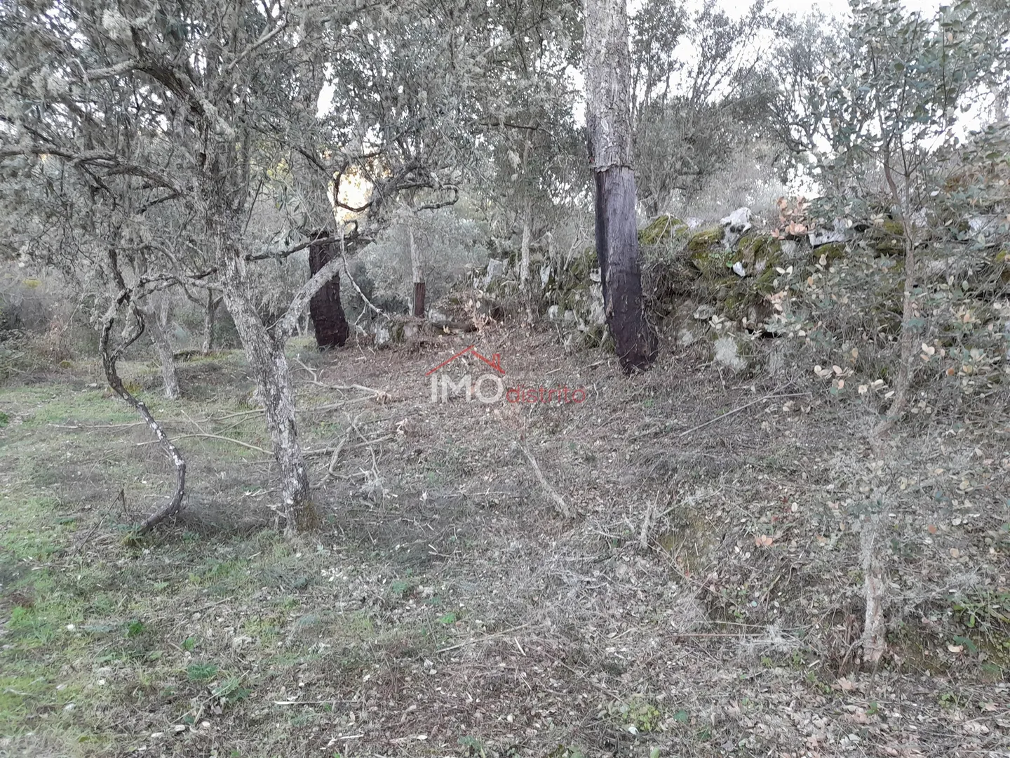 Terreno Rstico T0 - Santa Maria de Marvo, Marvo, Portalegre - Miniatura: 9/9