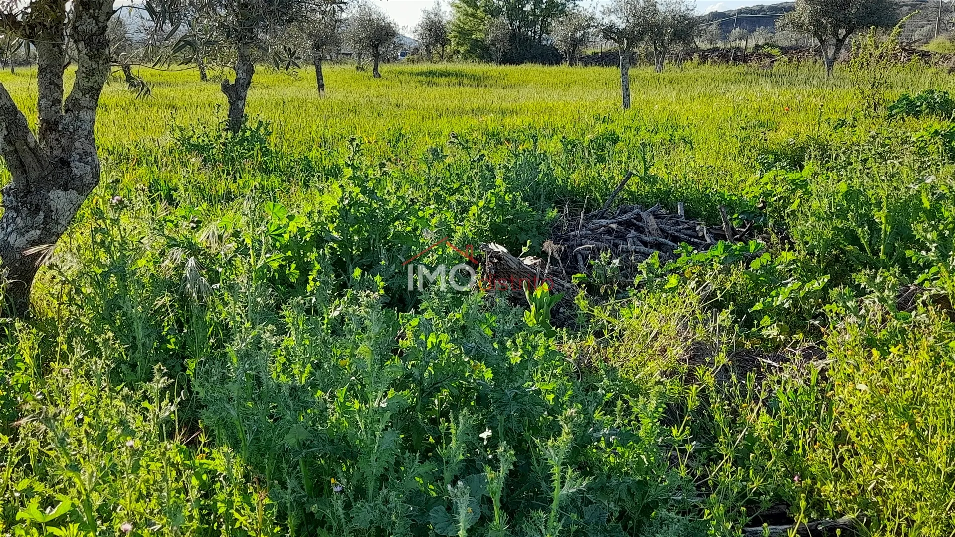 Terreno Rstico T0 - So Salvador da Aramenha, Marvo, Portalegre - Miniatura: 7/9