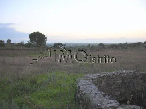 Terreno Rstico T0 - Esprito Santo, Nisa, Portalegre - Miniatura: 1/9